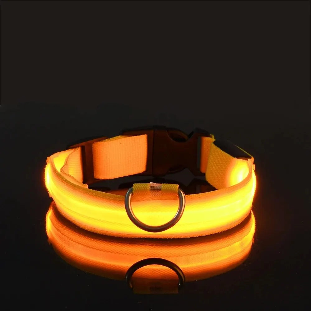 Guinzaglio per cani in nylon LED di sicurezza notturna lampeggiante che si illumina al buio Collare per cani da compagnia fluorescente luminoso