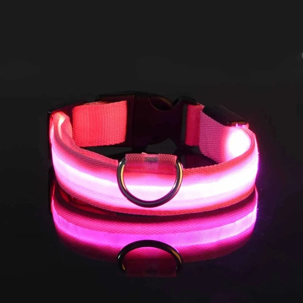 Guinzaglio per cani in nylon LED di sicurezza notturna lampeggiante che si illumina al buio Collare per cani da compagnia fluorescente luminoso