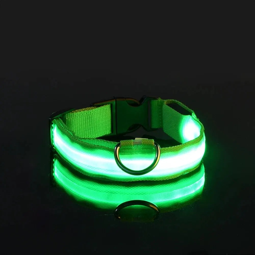 Guinzaglio per cani in nylon LED di sicurezza notturna lampeggiante che si illumina al buio Collare per cani da compagnia fluorescente luminoso