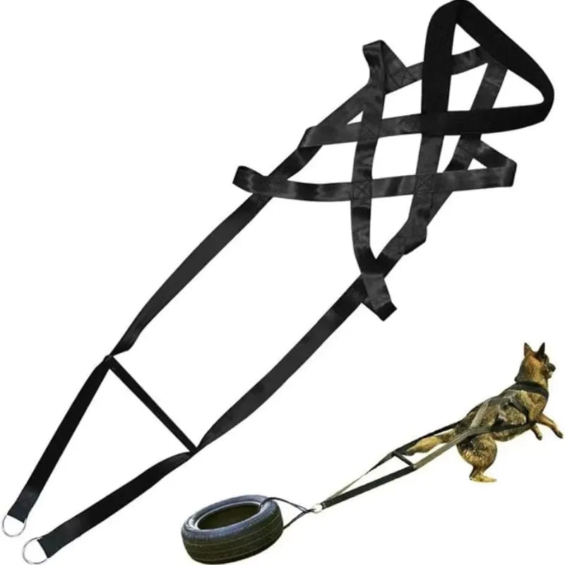 Guinzaglio da addestramento per cani da lavoro di grandi dimensioni Cintura di sicurezza per slitta per addestramento al comportamento Guinzaglio per cani durevole per gli appassionati di slitte per cani