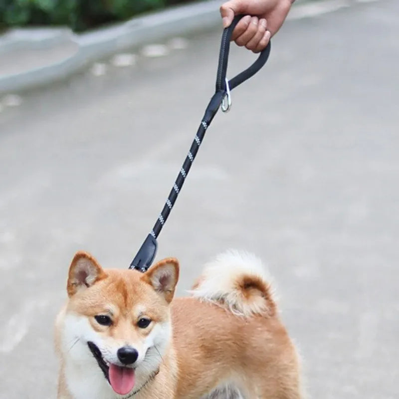 Guinzaglio per cani Guinzaglio per cani corto Guinzagli in un solo passaggio per cani che camminano Maniglia comoda Guinzagli per cani Corde da addestramento Catena riflettente per animali domestici