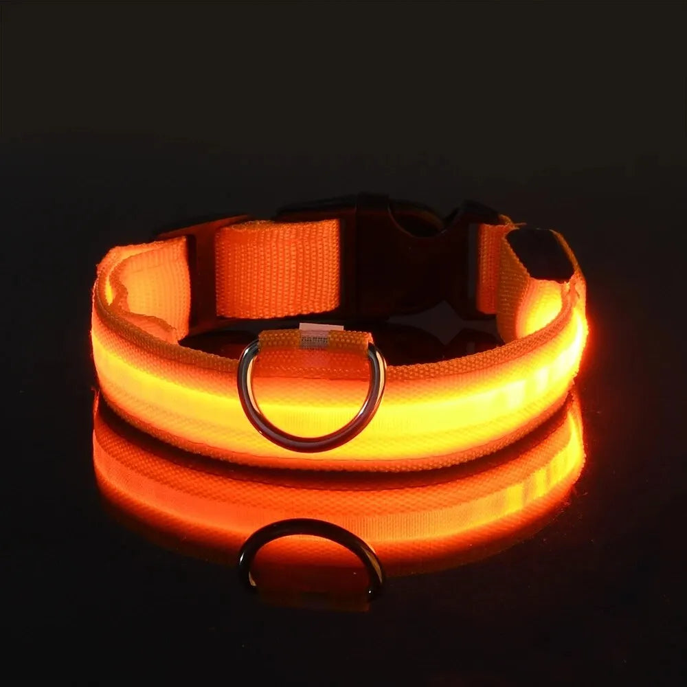 Guinzaglio per cani in nylon LED di sicurezza notturna lampeggiante che si illumina al buio Collare per cani da compagnia fluorescente luminoso