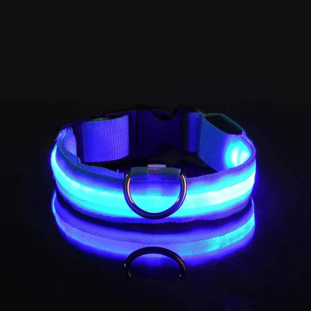 Guinzaglio per cani in nylon LED di sicurezza notturna lampeggiante che si illumina al buio Collare per cani da compagnia fluorescente luminoso