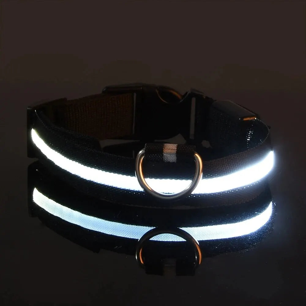 Guinzaglio per cani in nylon LED di sicurezza notturna lampeggiante che si illumina al buio Collare per cani da compagnia fluorescente luminoso