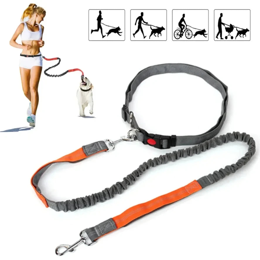 Guinzaglio per cani retrattile con corda in vita regolabile Mano libera Corsa Jogging Ciclismo Cani di grossa taglia Elasticità per animali domestici Piombo Forniture per animali domestici