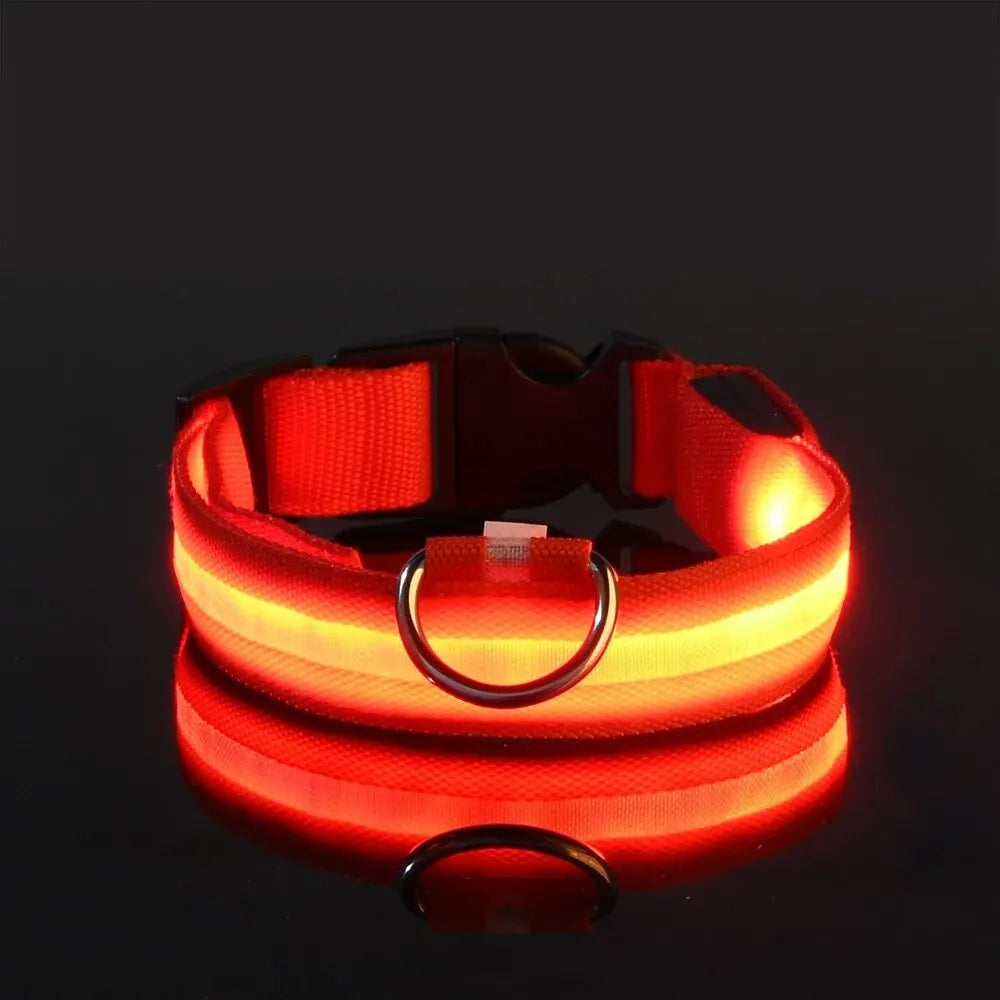 Guinzaglio per cani in nylon LED di sicurezza notturna lampeggiante che si illumina al buio Collare per cani da compagnia fluorescente luminoso