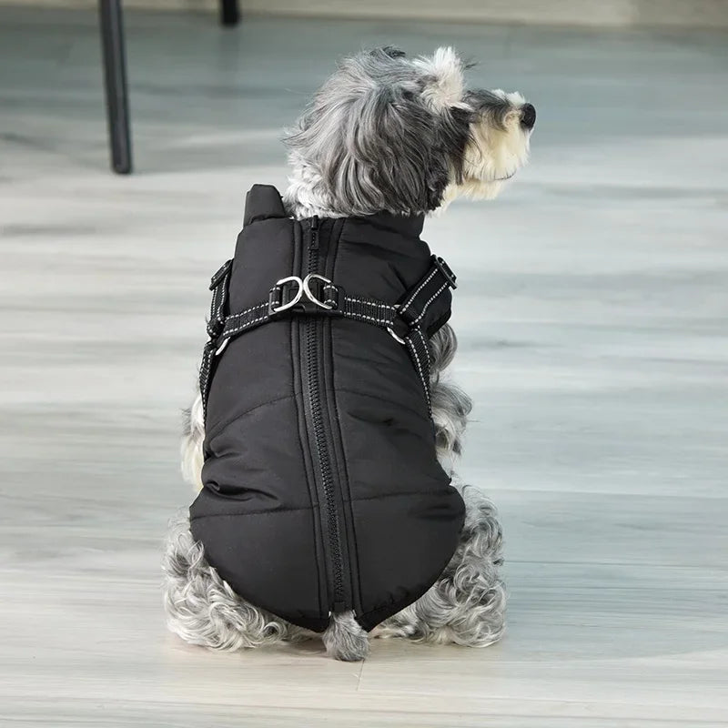 Vestiti per cani da compagnia Giacca invernale super calda Cappotto in cotone più spesso impermeabile per cani di piccola taglia e media Cucciolo di Yorkshire Outfit