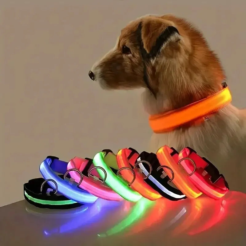 Guinzaglio per cani in nylon LED di sicurezza notturna lampeggiante che si illumina al buio Collare per cani da compagnia fluorescente luminoso