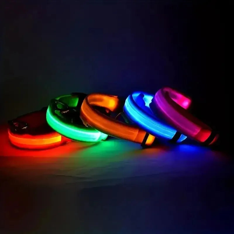 Guinzaglio per cani in nylon LED di sicurezza notturna lampeggiante che si illumina al buio Collare per cani da compagnia fluorescente luminoso